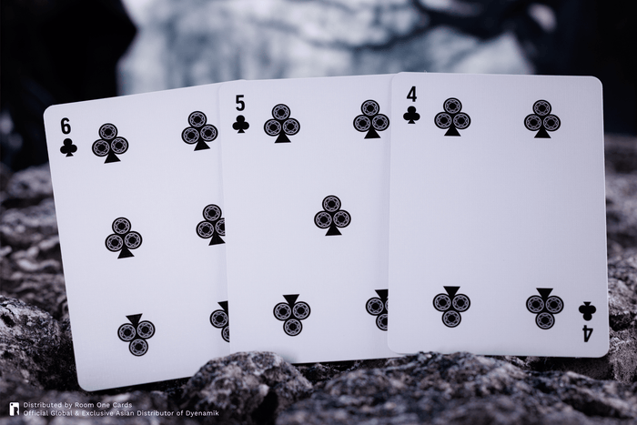 Witcher Playing Cards